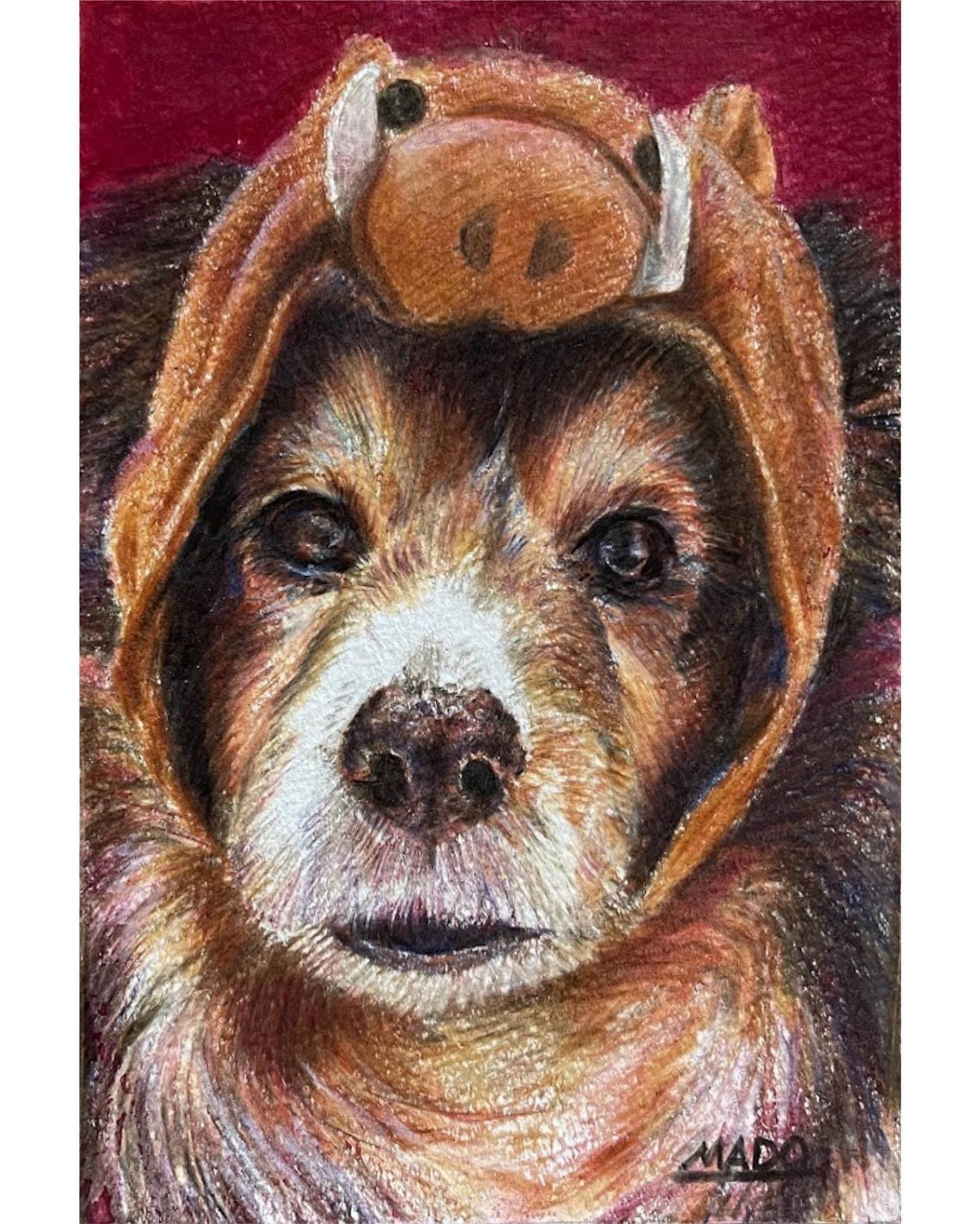 「祝！亥年！」

B5 : 182mm×257mm
色鉛筆
2019年

#シェルティ #shetlandsheepdog #シェットランドシープドッグ #絵描きさんと繋がりたい 
#animalillustration #シェルティ大好き #シェルティ描いてます  #色鉛筆 #colorpencil #picture #animalartist #animaldrawing #realist #イラスト #絵 #illust #illustration #illustrator  #draw #drawing  #artwork #artist #coloredpencil  #works #色鉛筆画　#シェルティ好きな人と繋がりたい-1