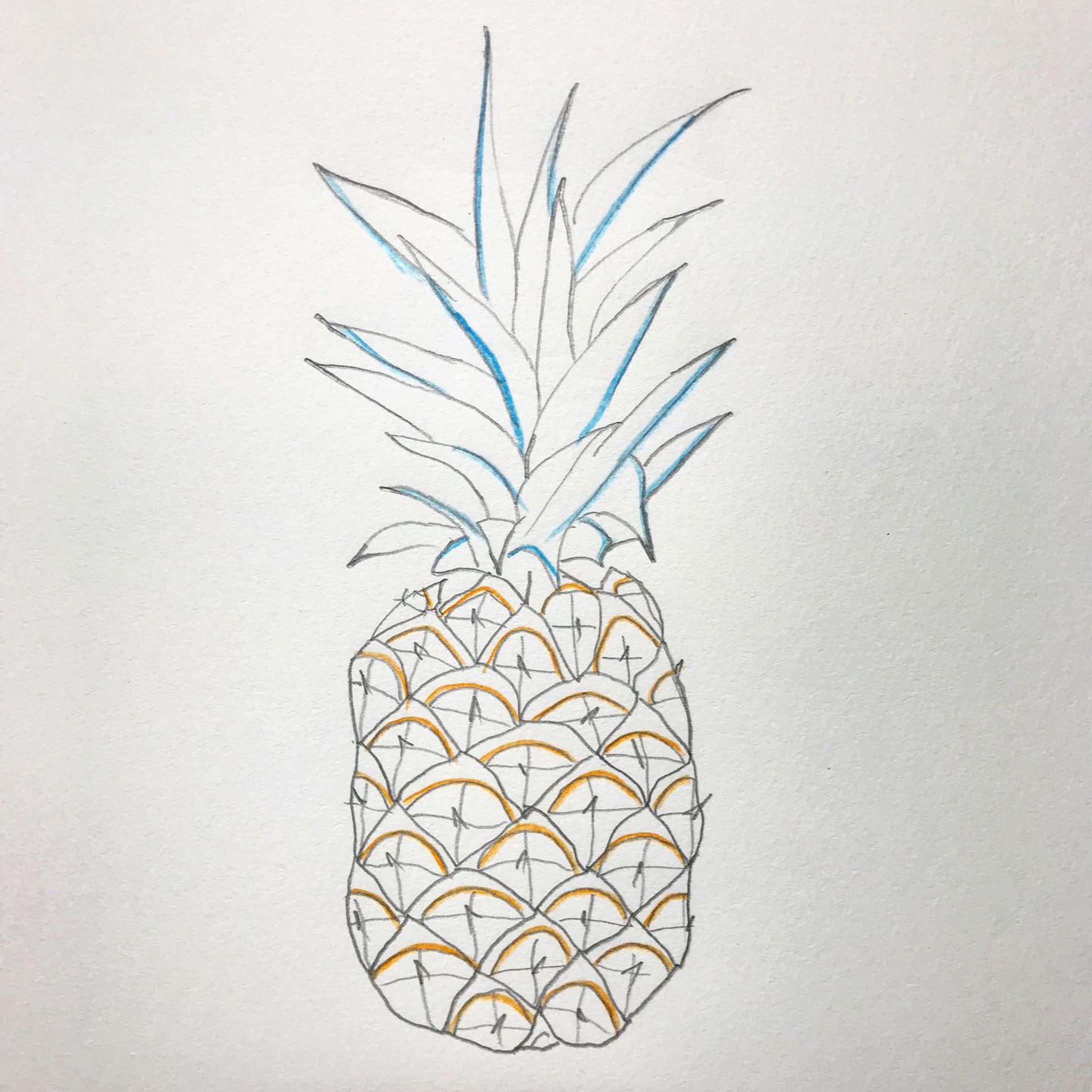#pineapple #ananas #fruits #juice #summer #drawing #pencildrawing #tropical #cafe #bar #パイナップル 
#ジュース #フルーツ #夏 #カフェ #バー #イラスト #テキスタイルデザイン #果物  #千疋屋 #パフェ-1