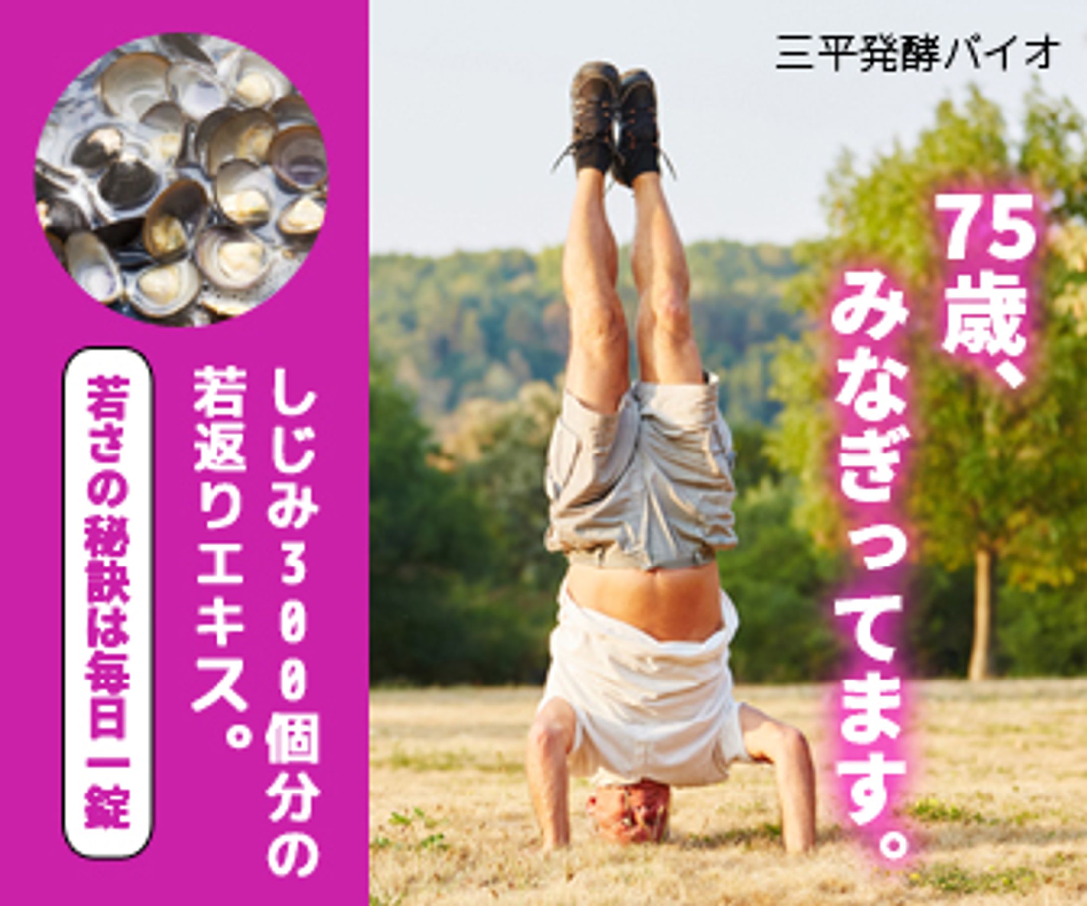 バナー広告-1