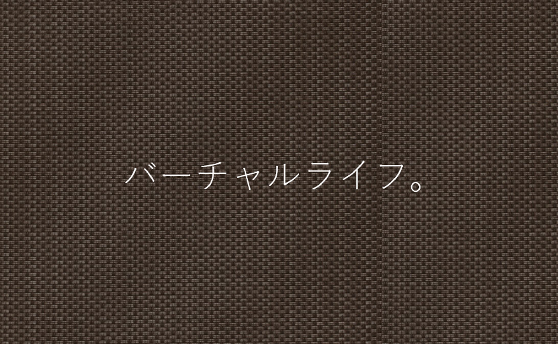 小説：バーチャルライフ。-1