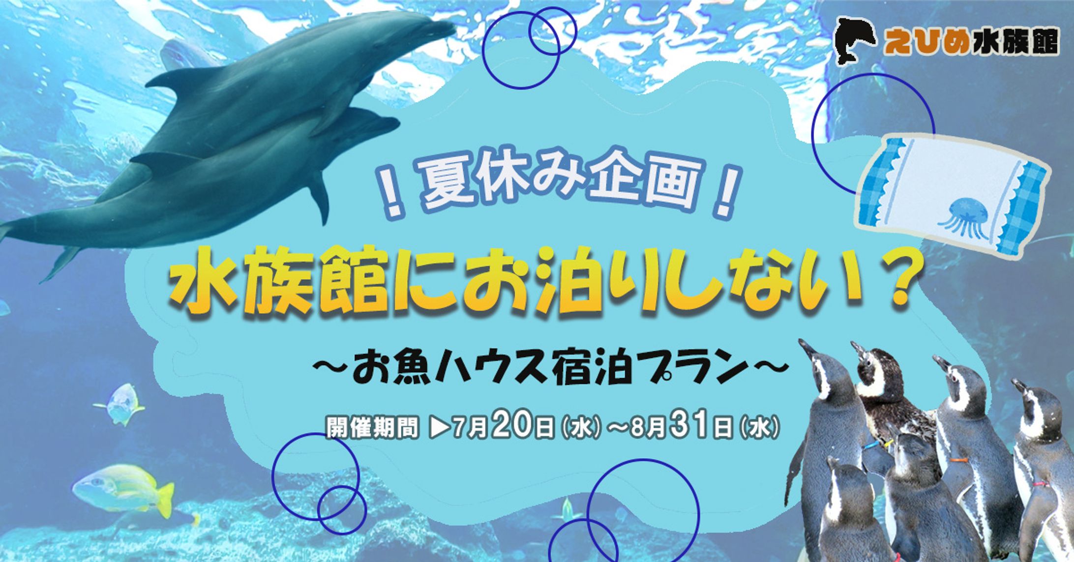 【バナー】水族館お泊り企画-1
