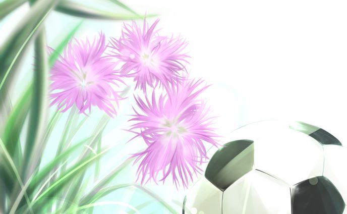 画家、サッカー