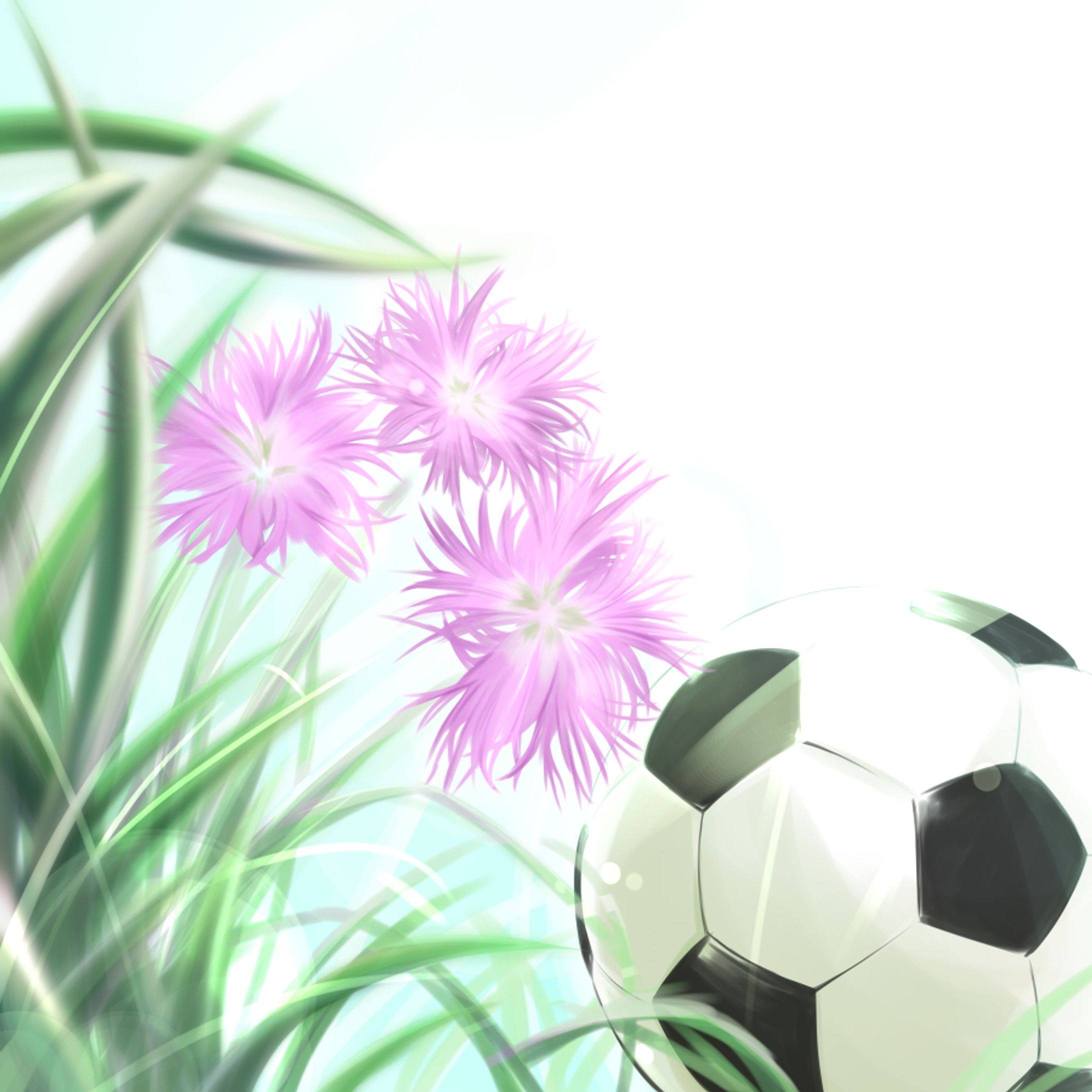 なでしこ-1