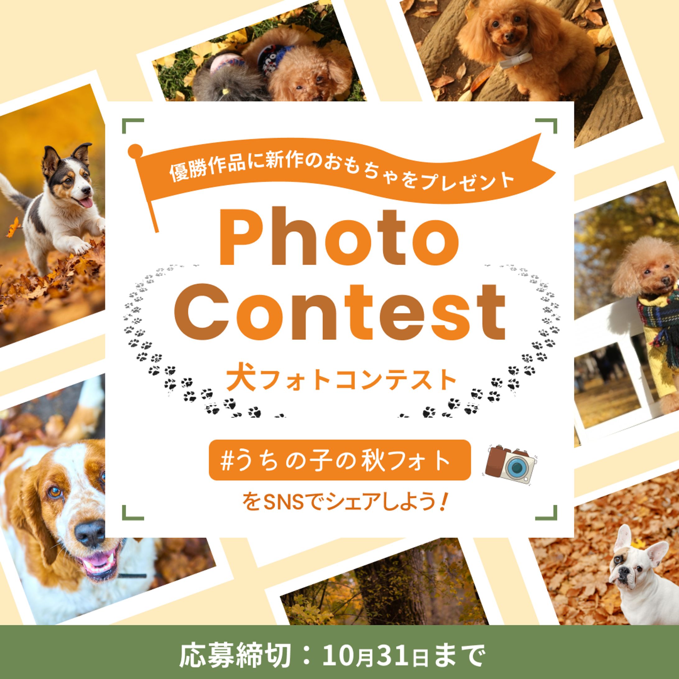 ペットの犬の秋フォトコンテスト-1