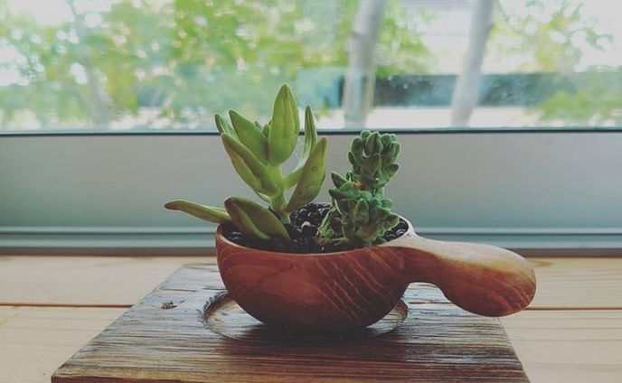 自主制作：写真撮影・加工