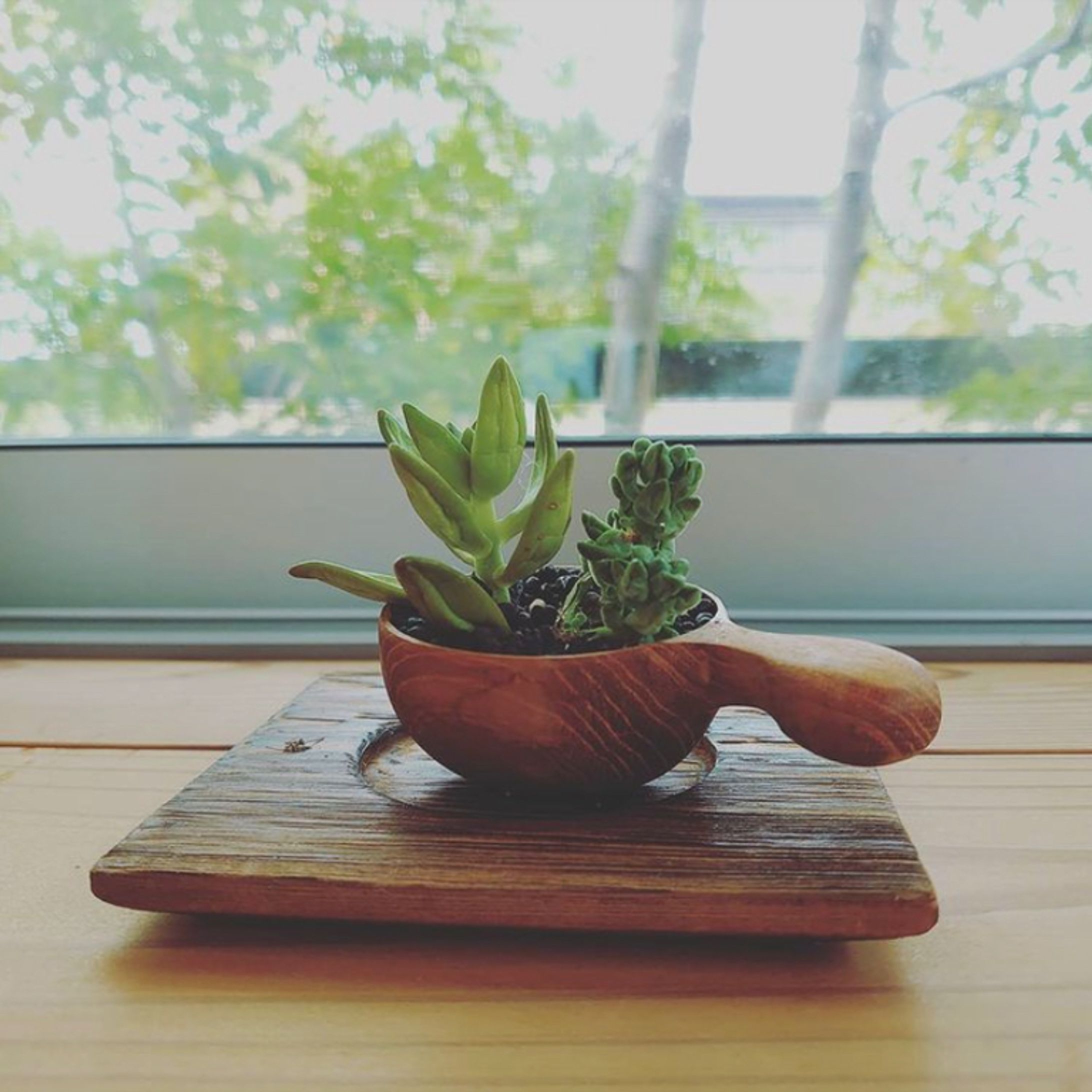 自主制作：写真撮影・加工-1