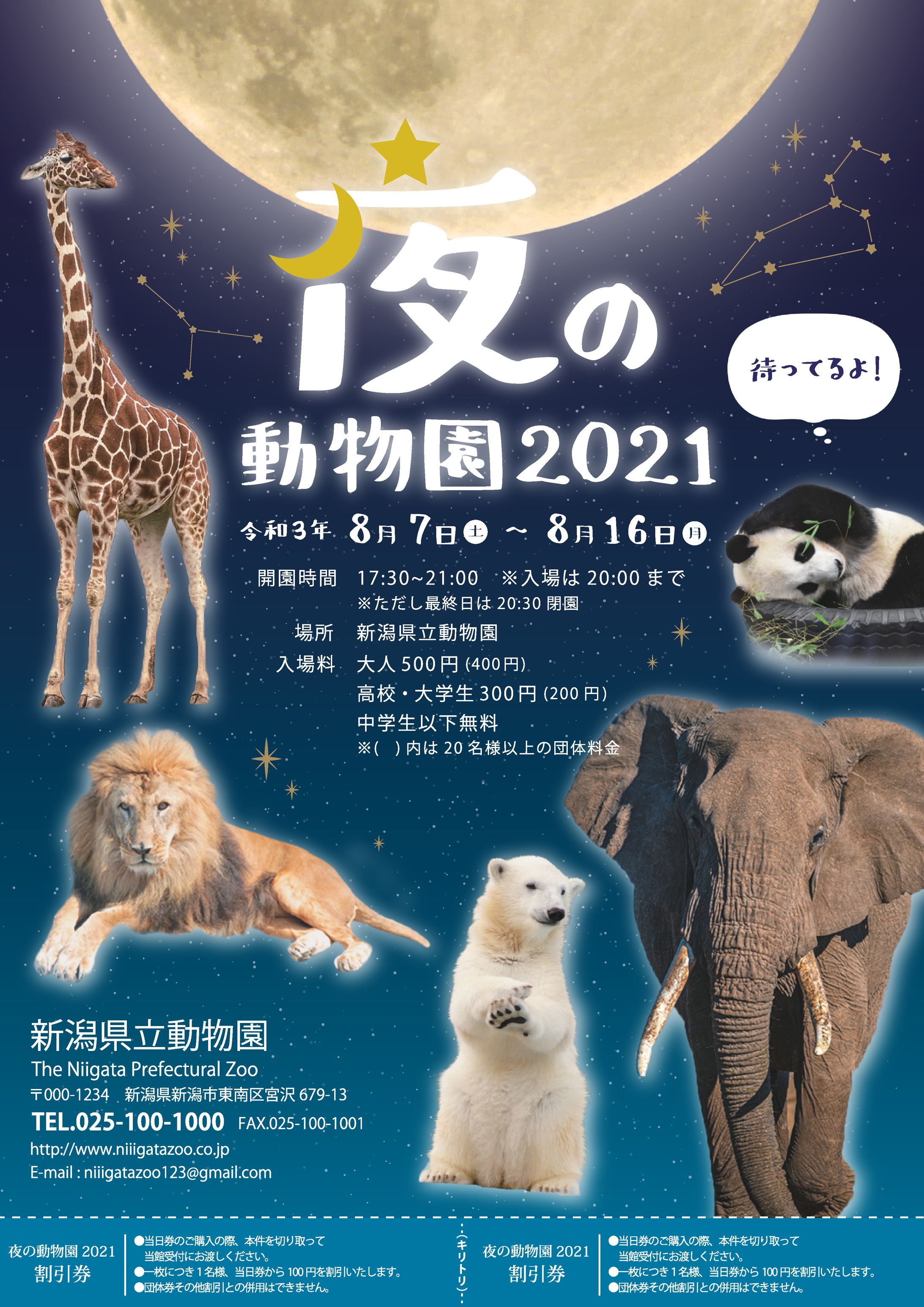 リーフレット - 夜の動物園 - （自主制作）-1