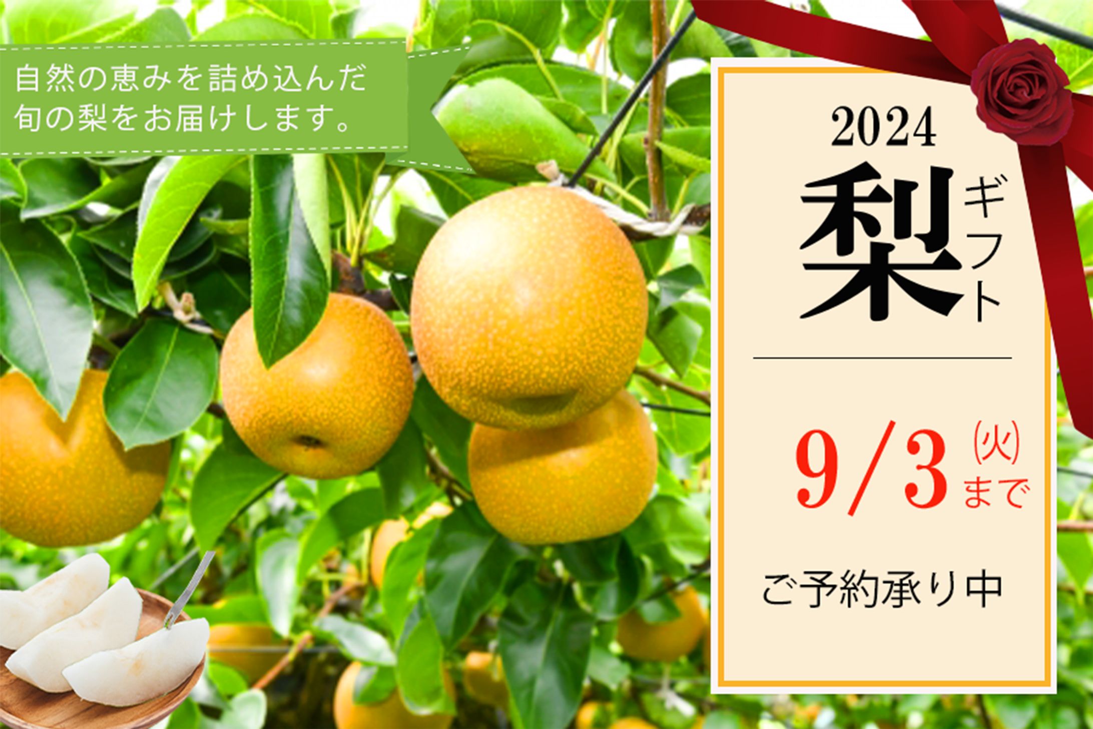 梨ギフト-1