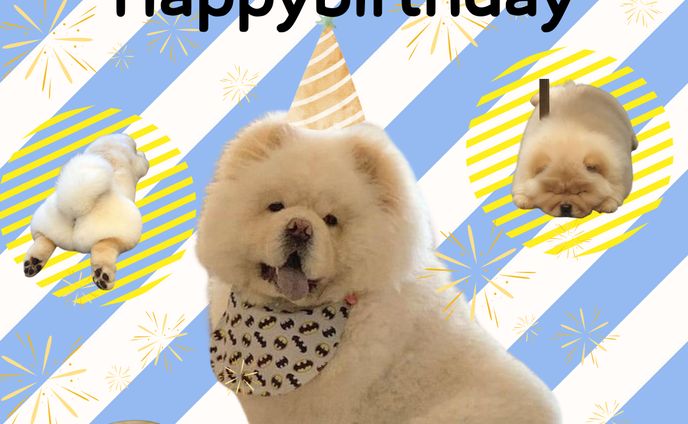 Happybirthday（犬ちゃうちゃう）　バナー