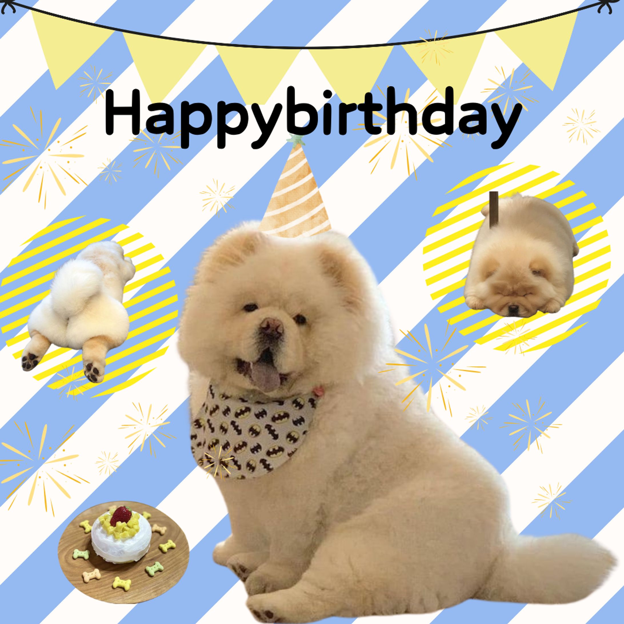 Happybirthday（犬ちゃうちゃう）　バナー-1