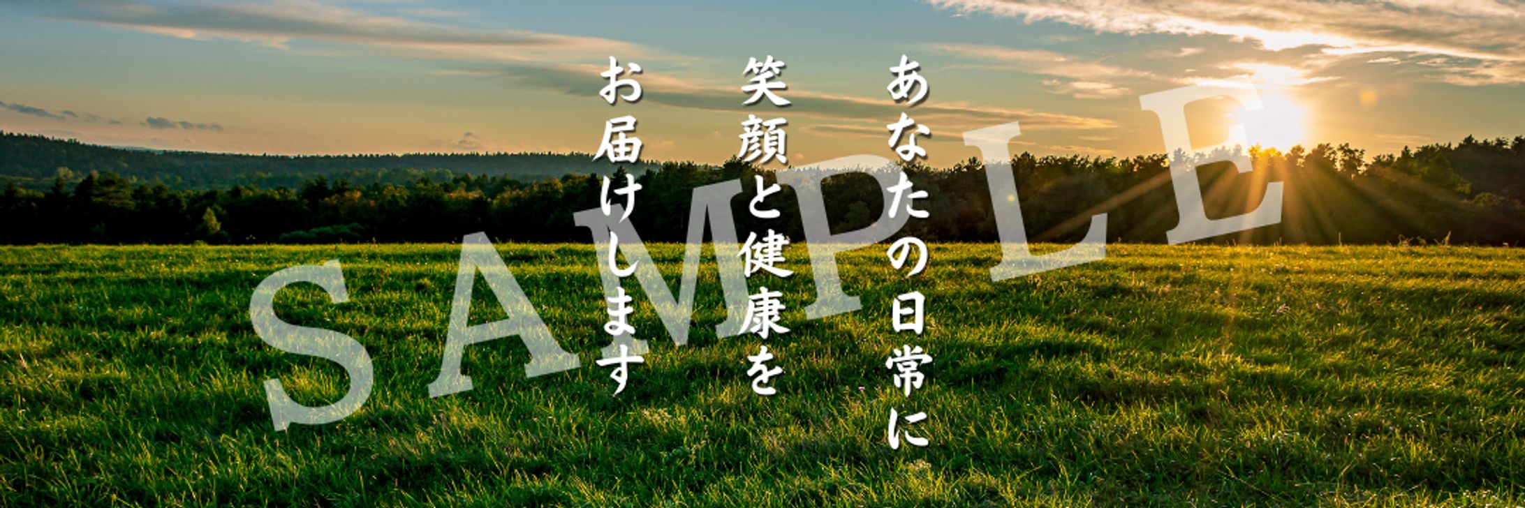 ECサイト用　デザイン画像　パターン①-1