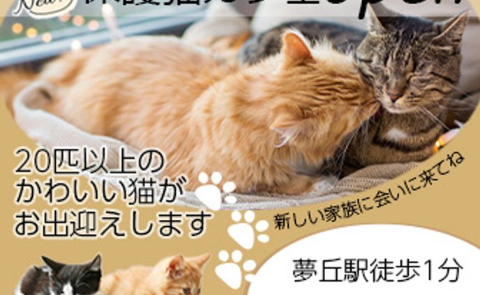 猫カフェ　バナー