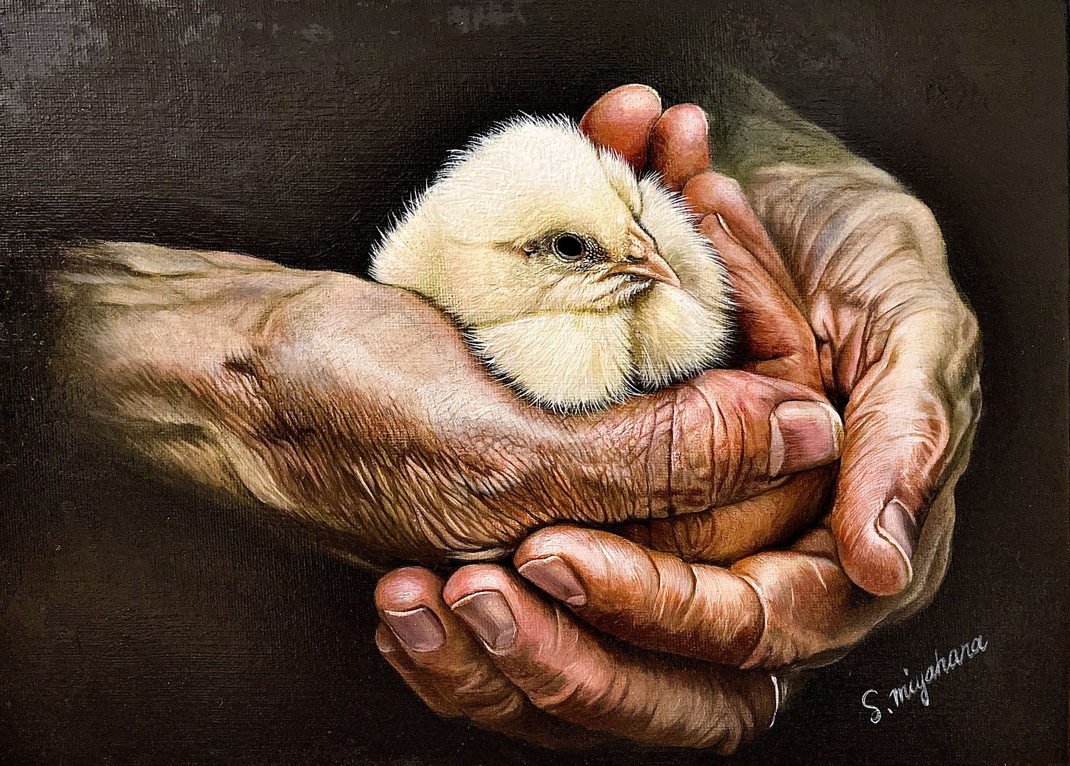 A new life and old man-1