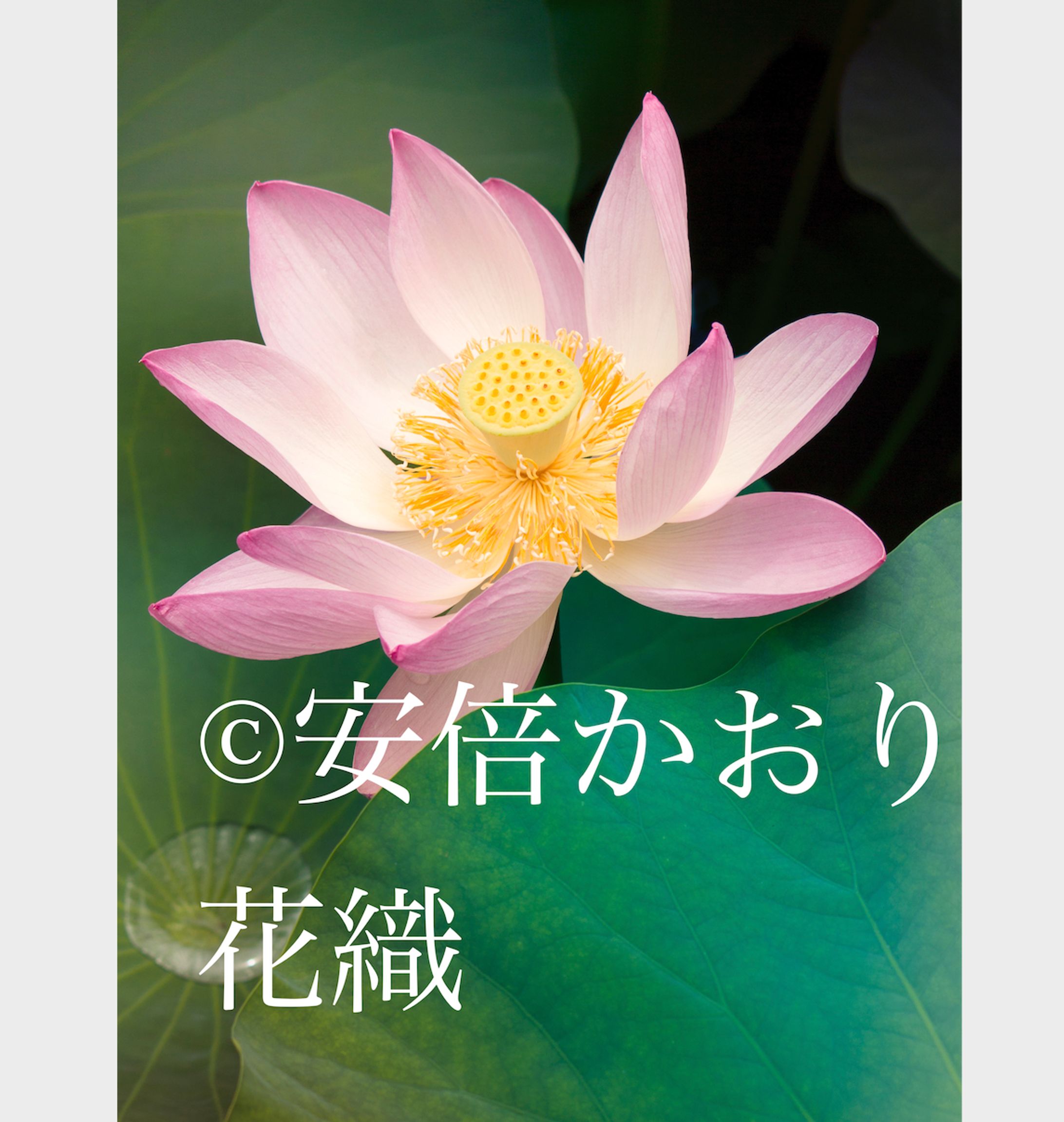 寄り合い作品展2025-1