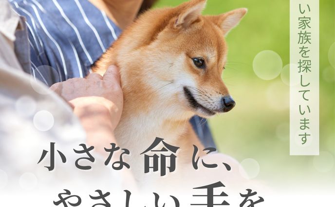 【広告バナーSample】動物保護