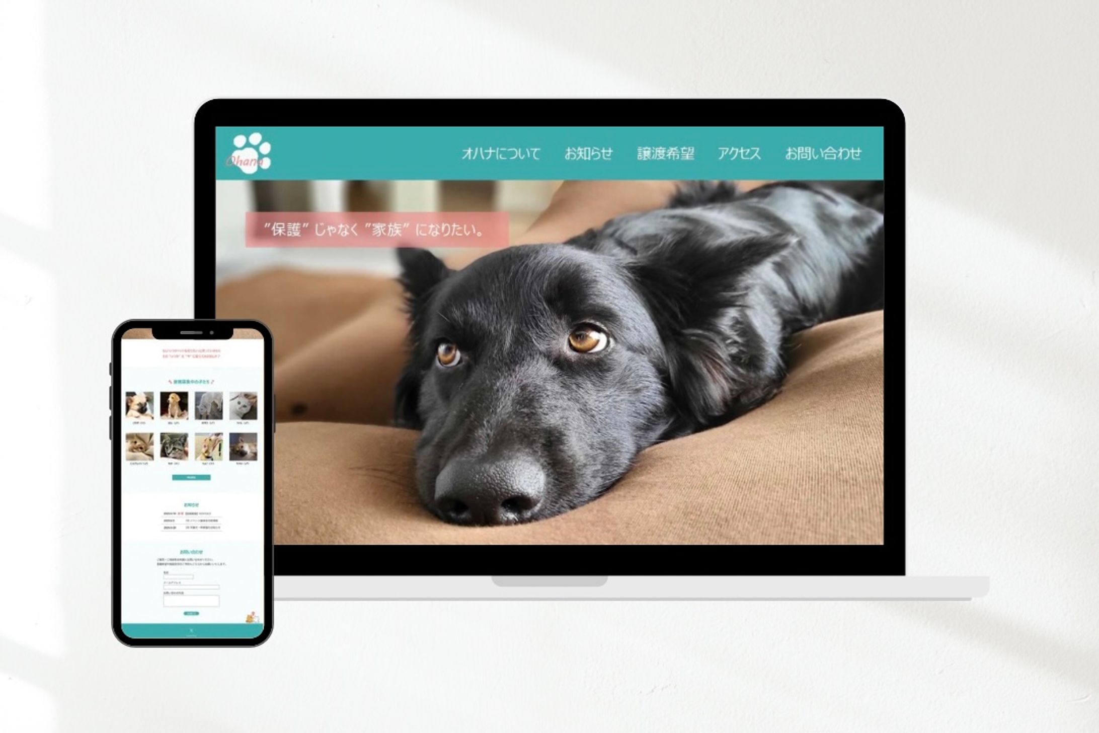 【サンプル】犬猫保護団体HP-1