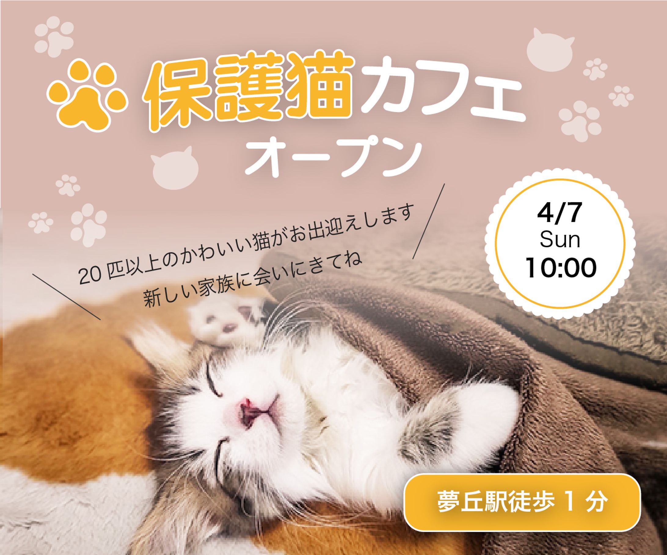 バナー：保護猫カフェ-1