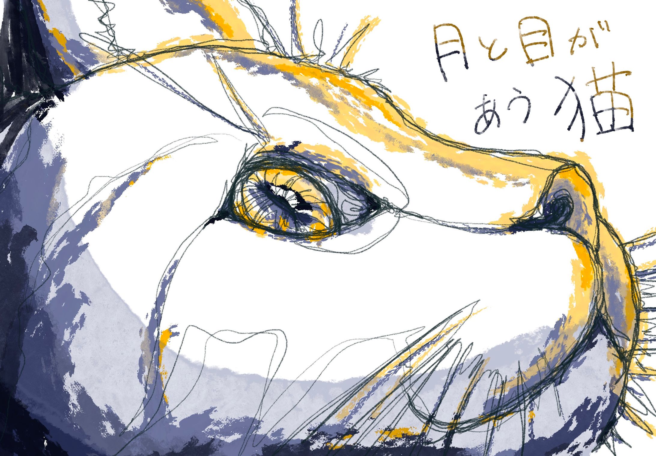 月と目が合う猫-1