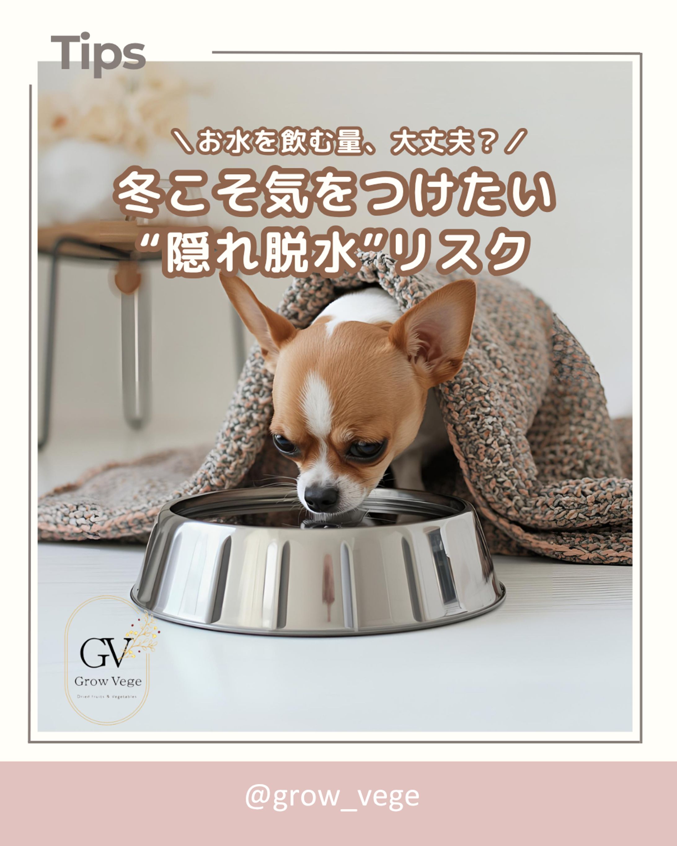 ペットフードアカウントInstagramフィード投稿③-1