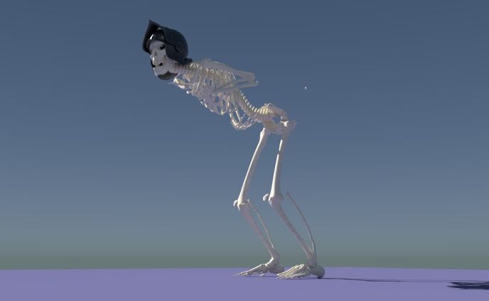 sekeleton 3