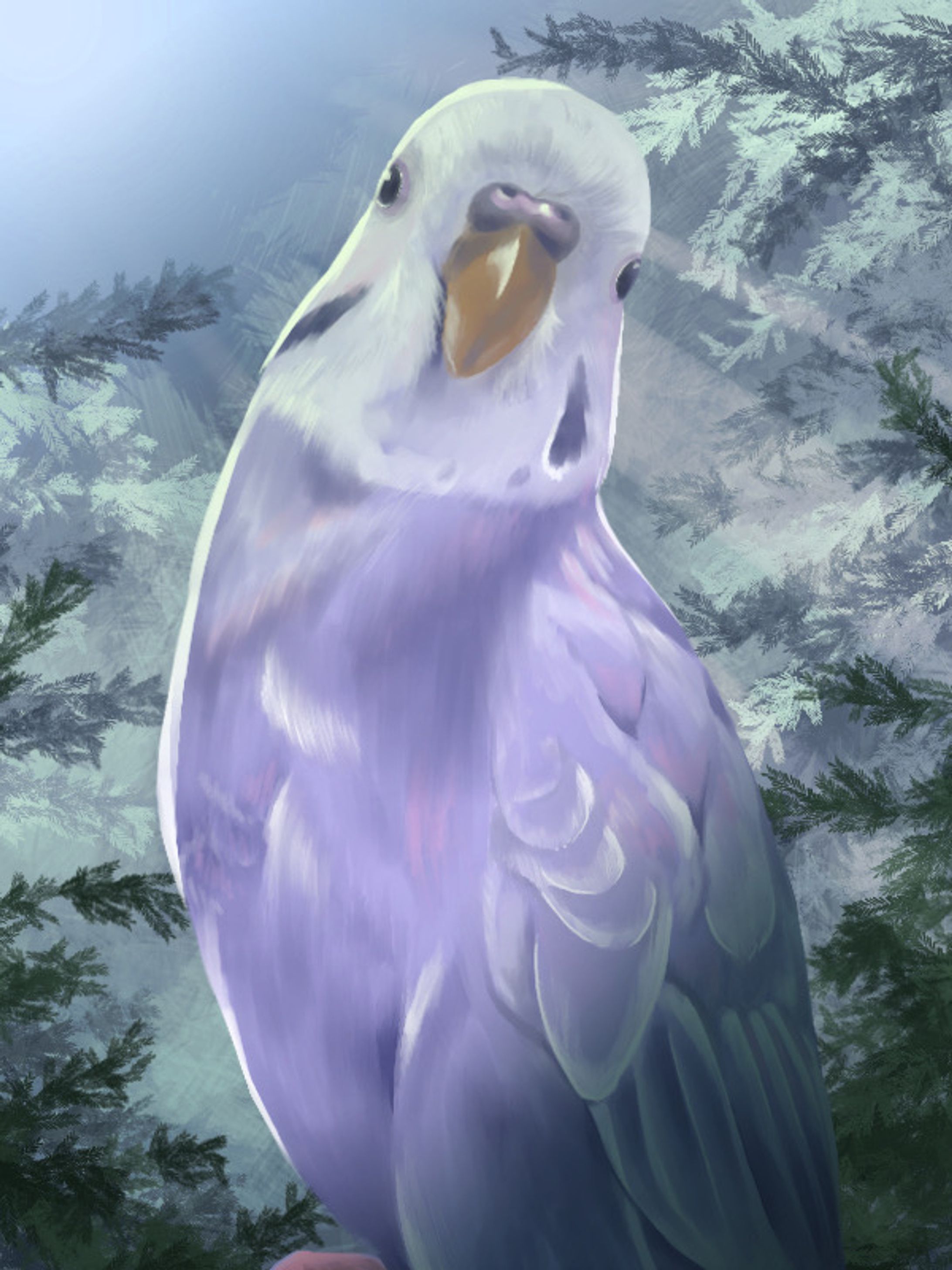 budgerigar in the forest-1