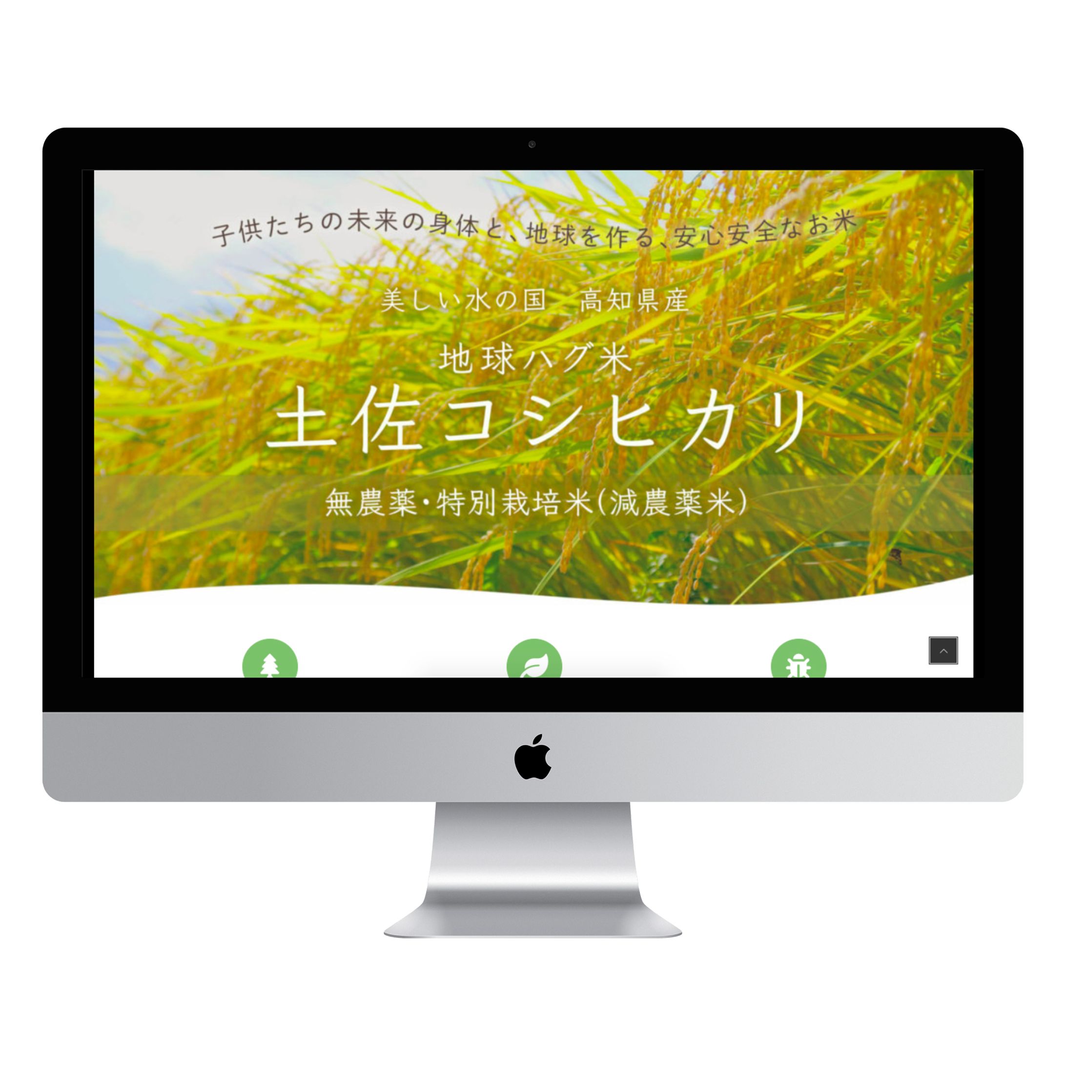 地球ハグ倶楽部様 お米販売LP-1