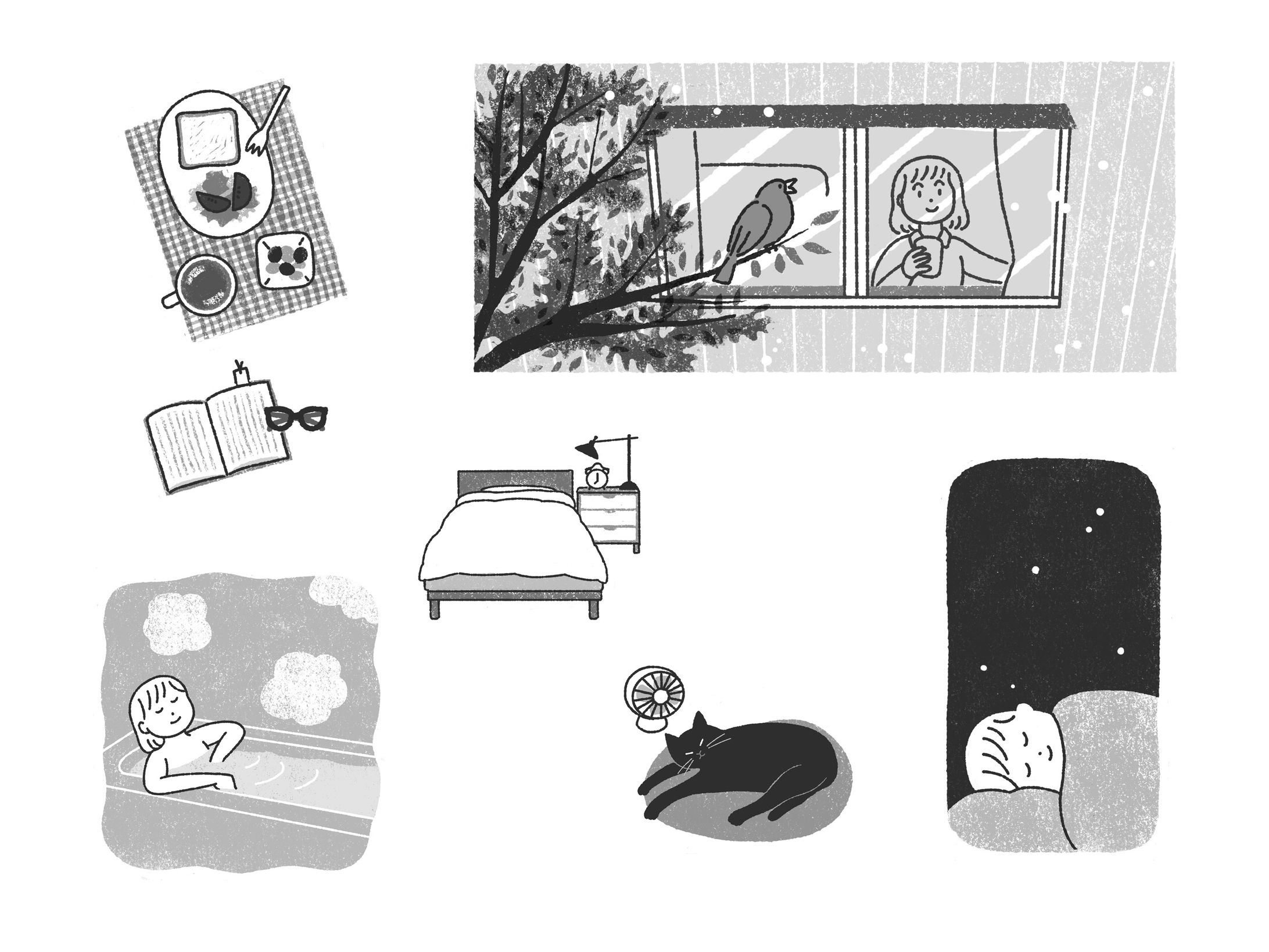 PHPスペシャル　2024年7月号-1