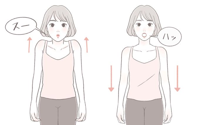 2023年「KIREICruise」掲載イラスト