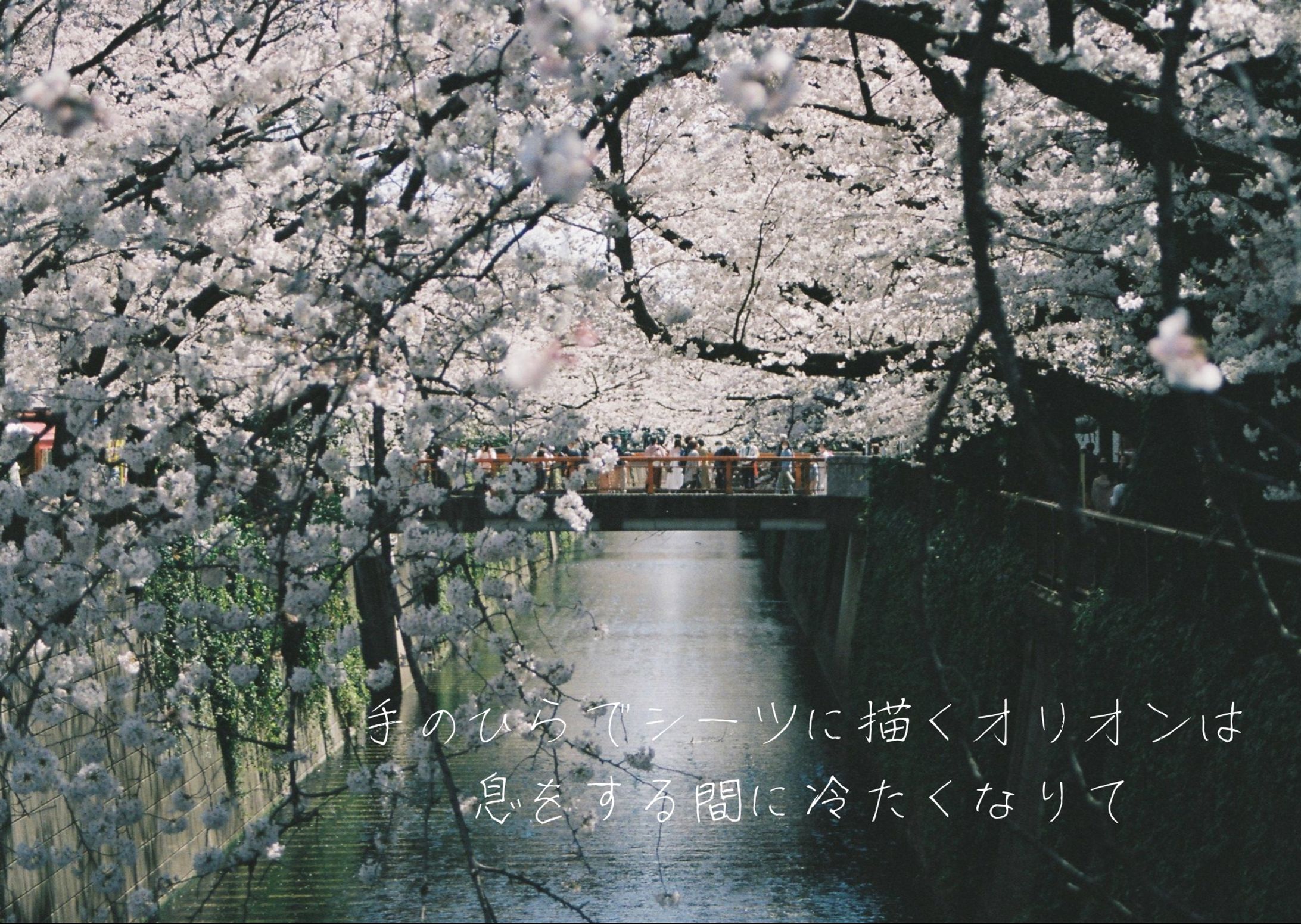 拝啓、-1