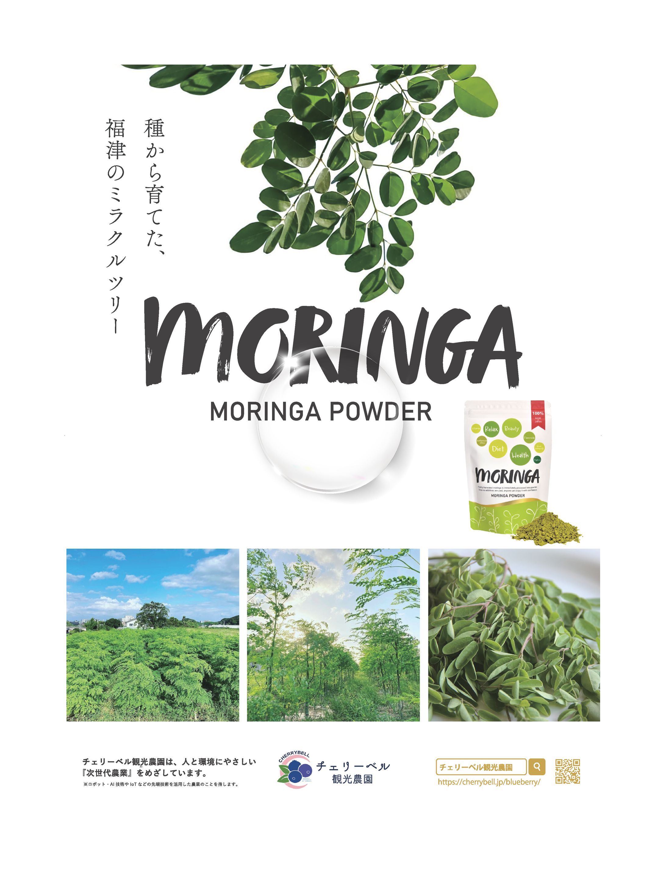 EVENT | POSTER DESIGN-1