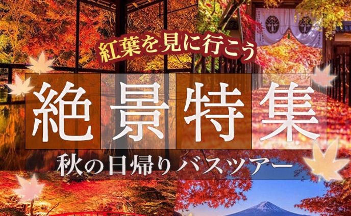 秋の日帰りバスツアー2