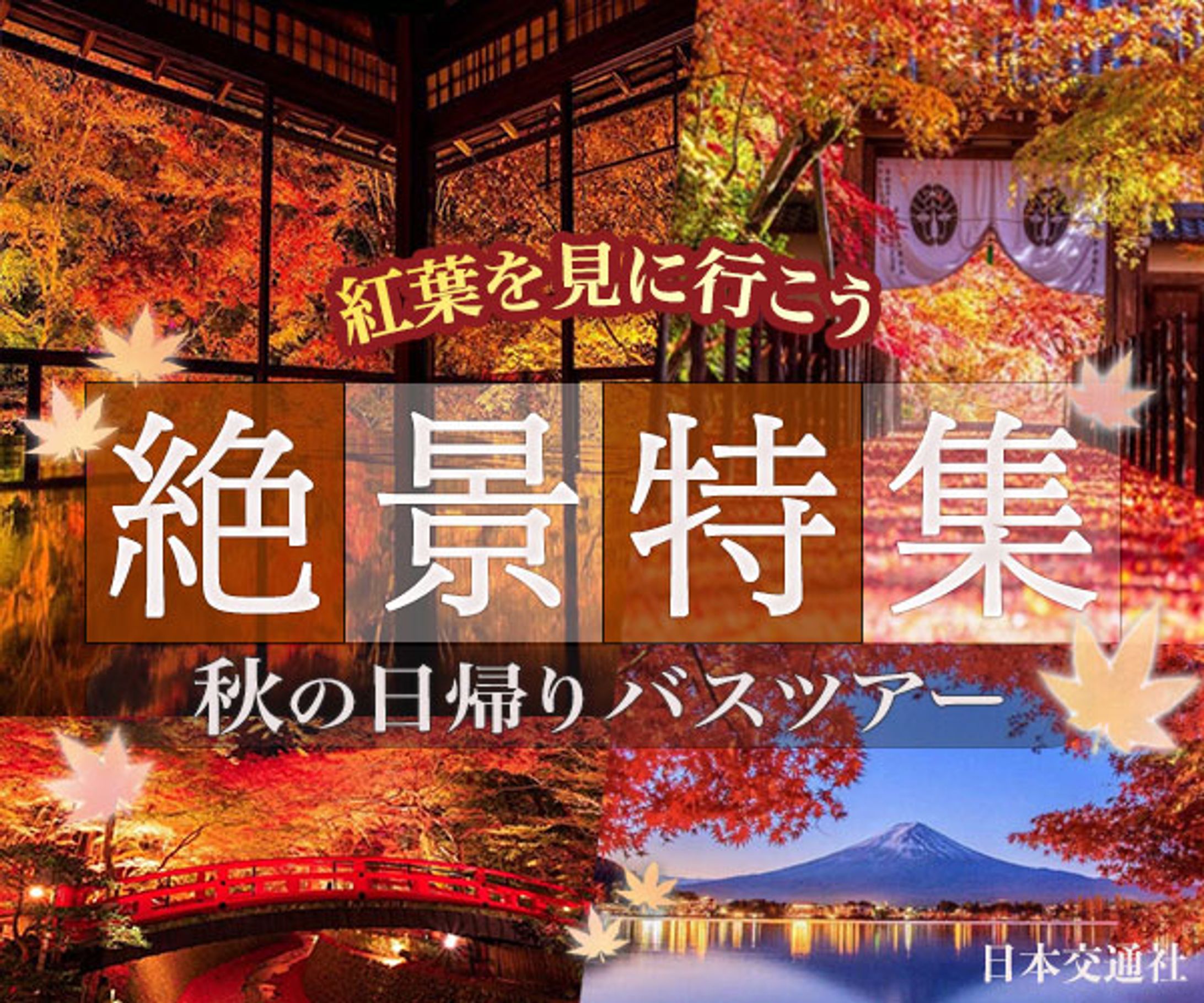 秋の日帰りバスツアー2-1