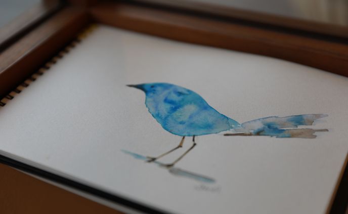 Colorful Bird Blue