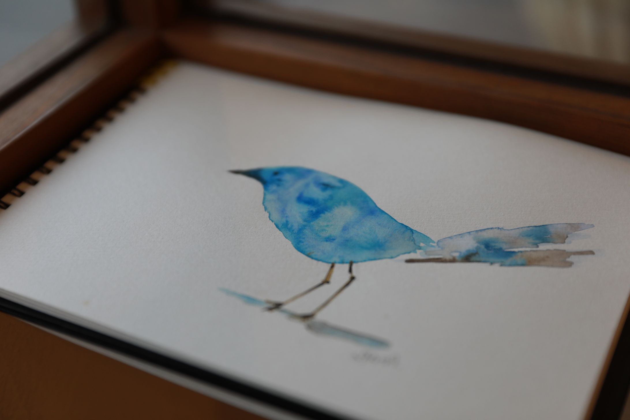 Colorful Bird Blue-1