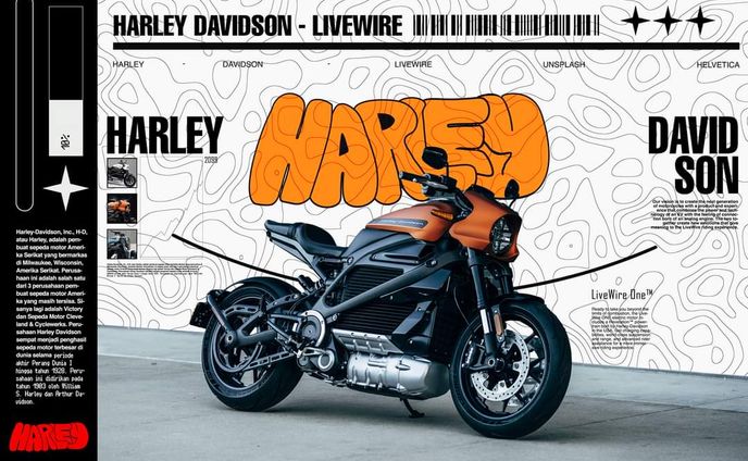 Harley Davidson poster or sum shit