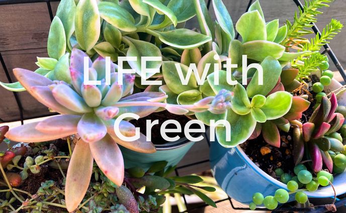LIFE with Green