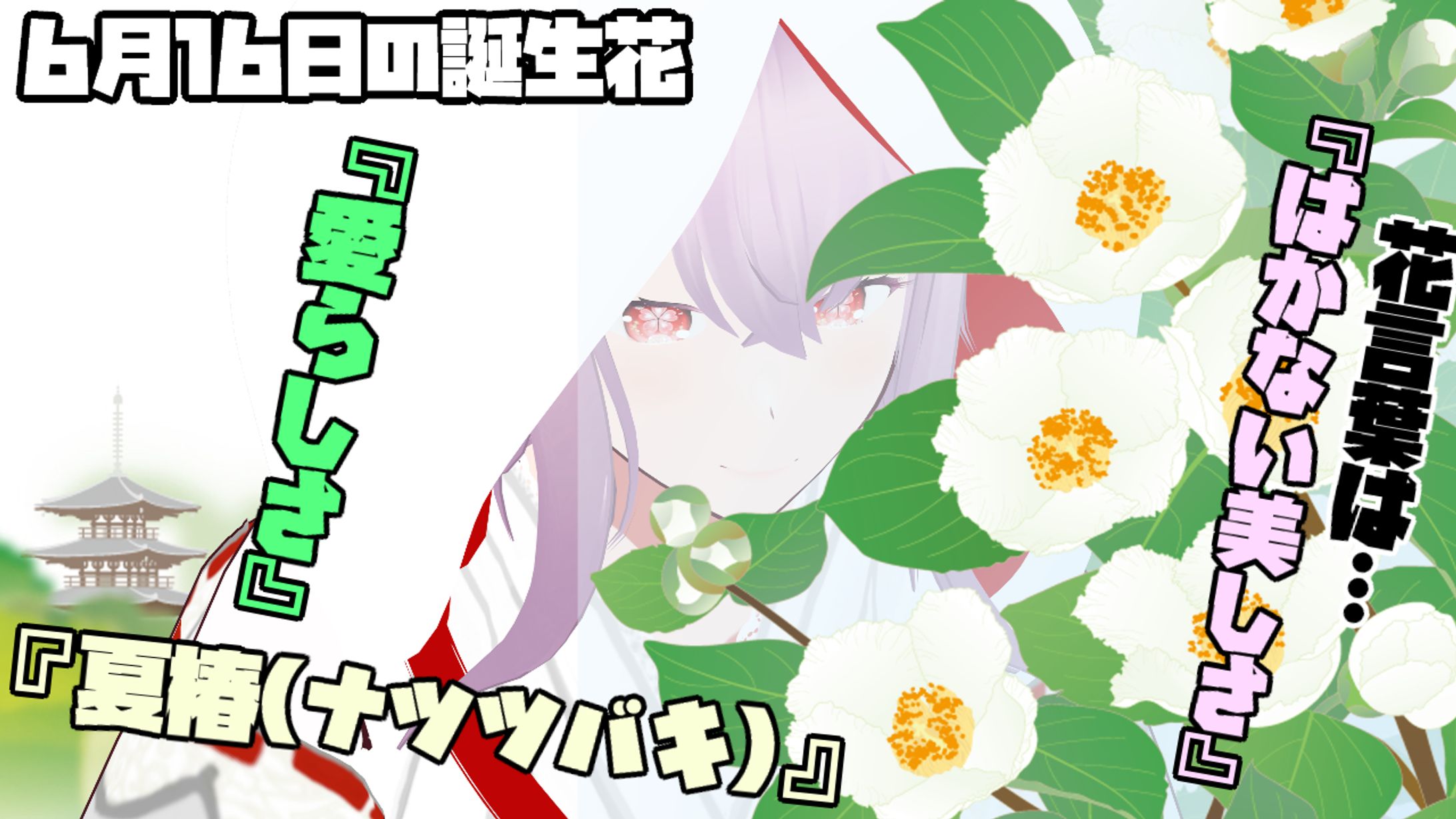 6月16日-1