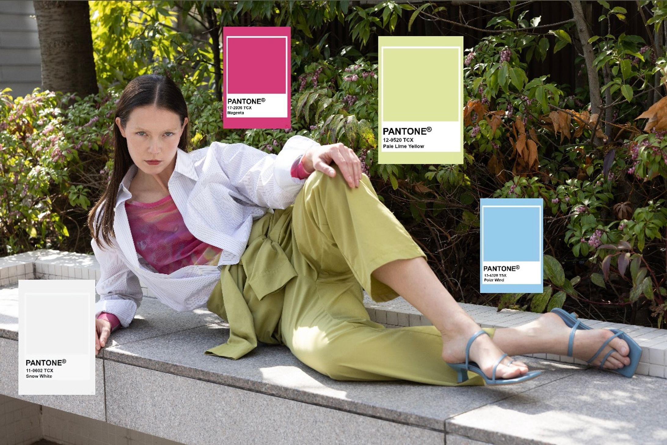 Color Block fashion snap-1