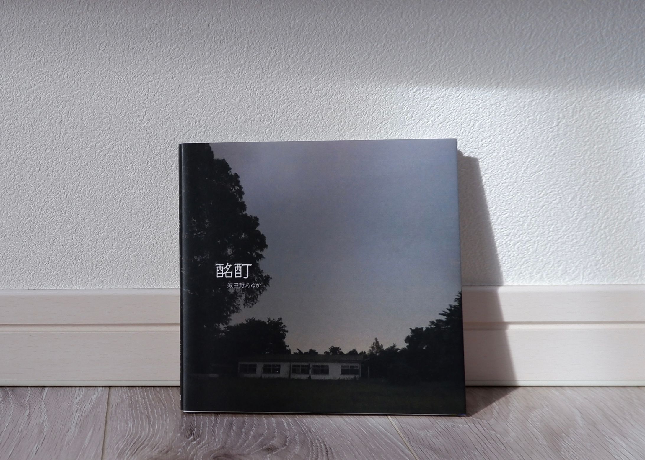 写真集 酩酊（個人制作）-1