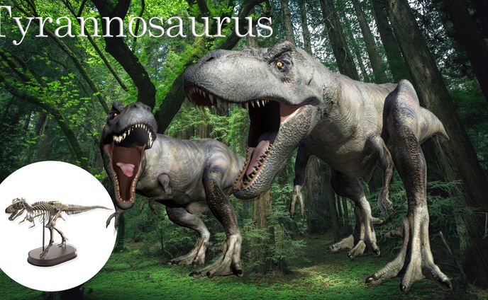 Tyrannosaurus Toys