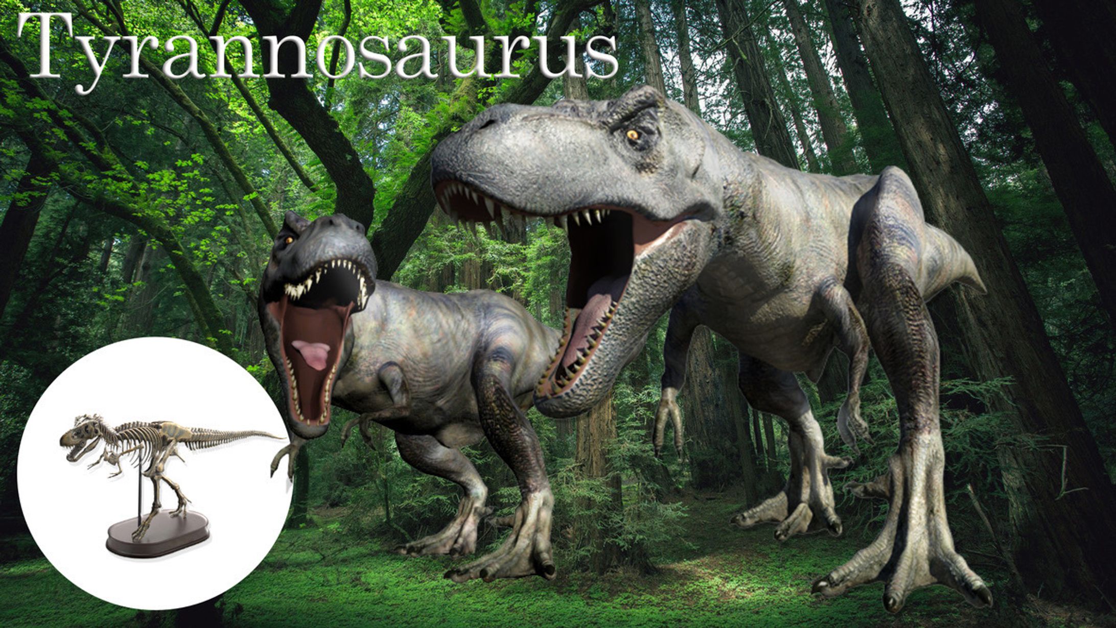 Tyrannosaurus Toys-1