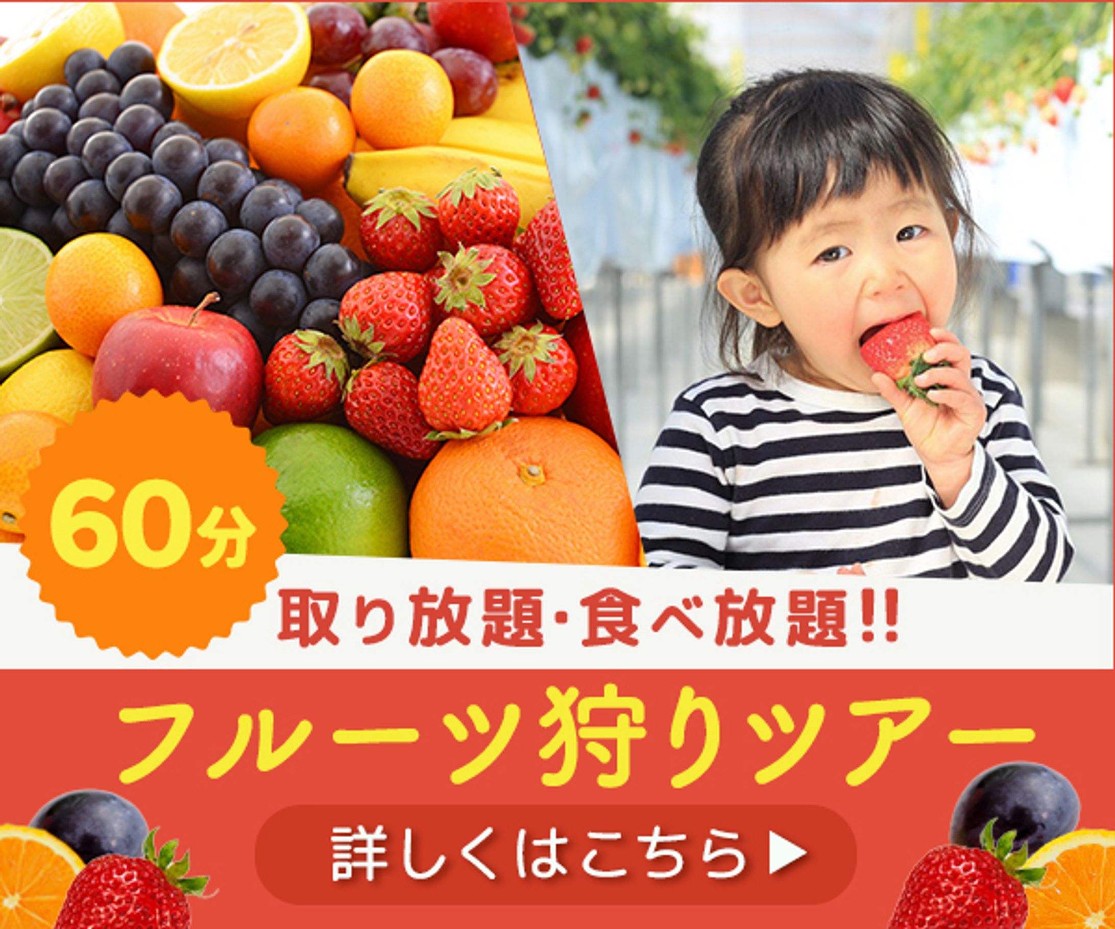 フルーツ狩りバナー-1