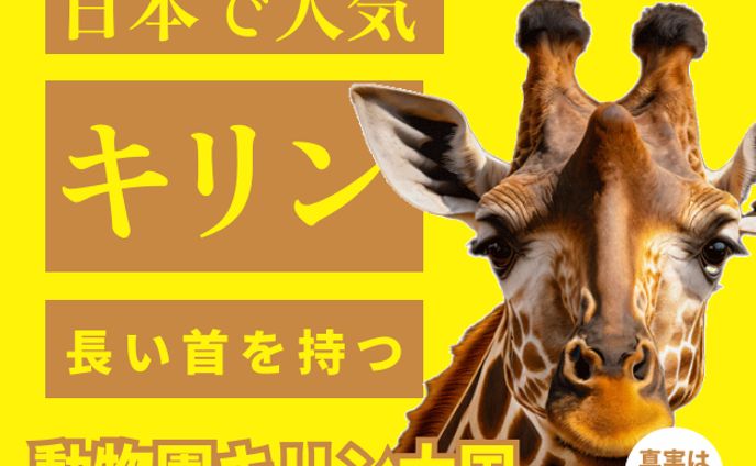 動物園　キリン