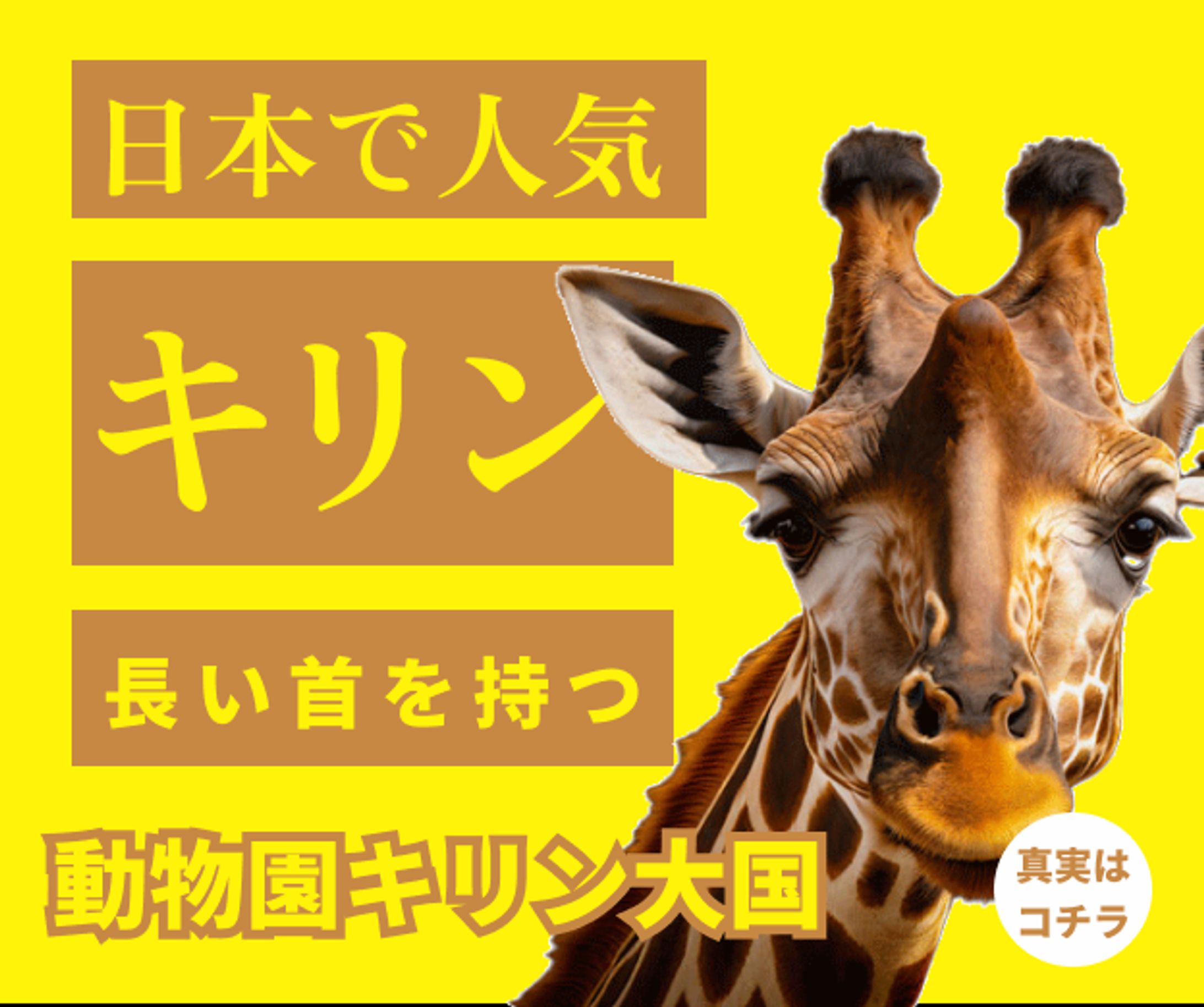 動物園　キリン-1
