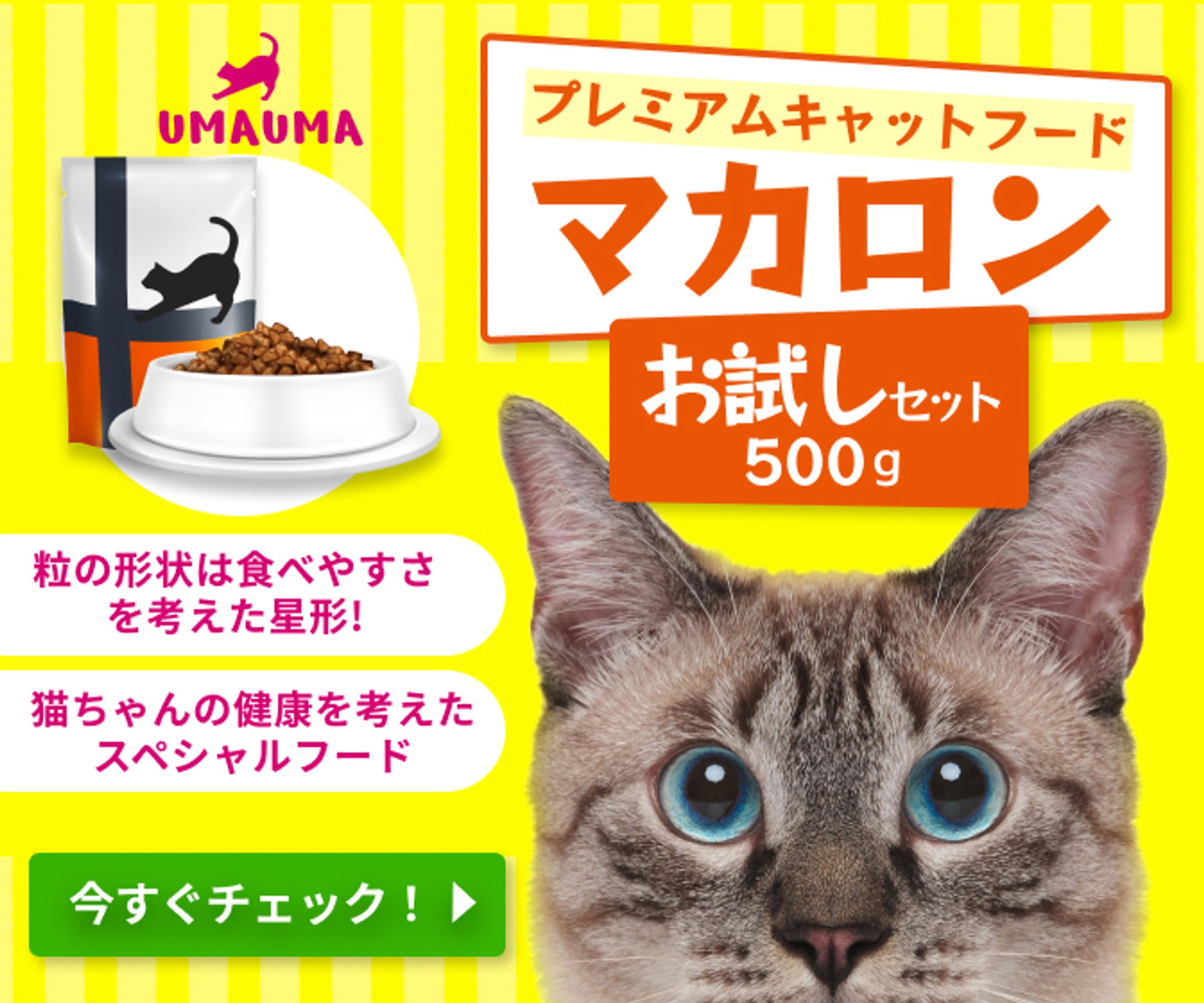 キャットフードバナー-1