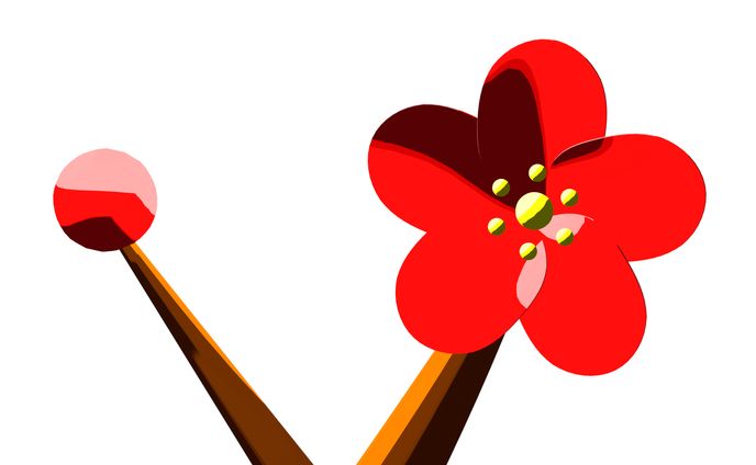 梅のイラスト風モデル