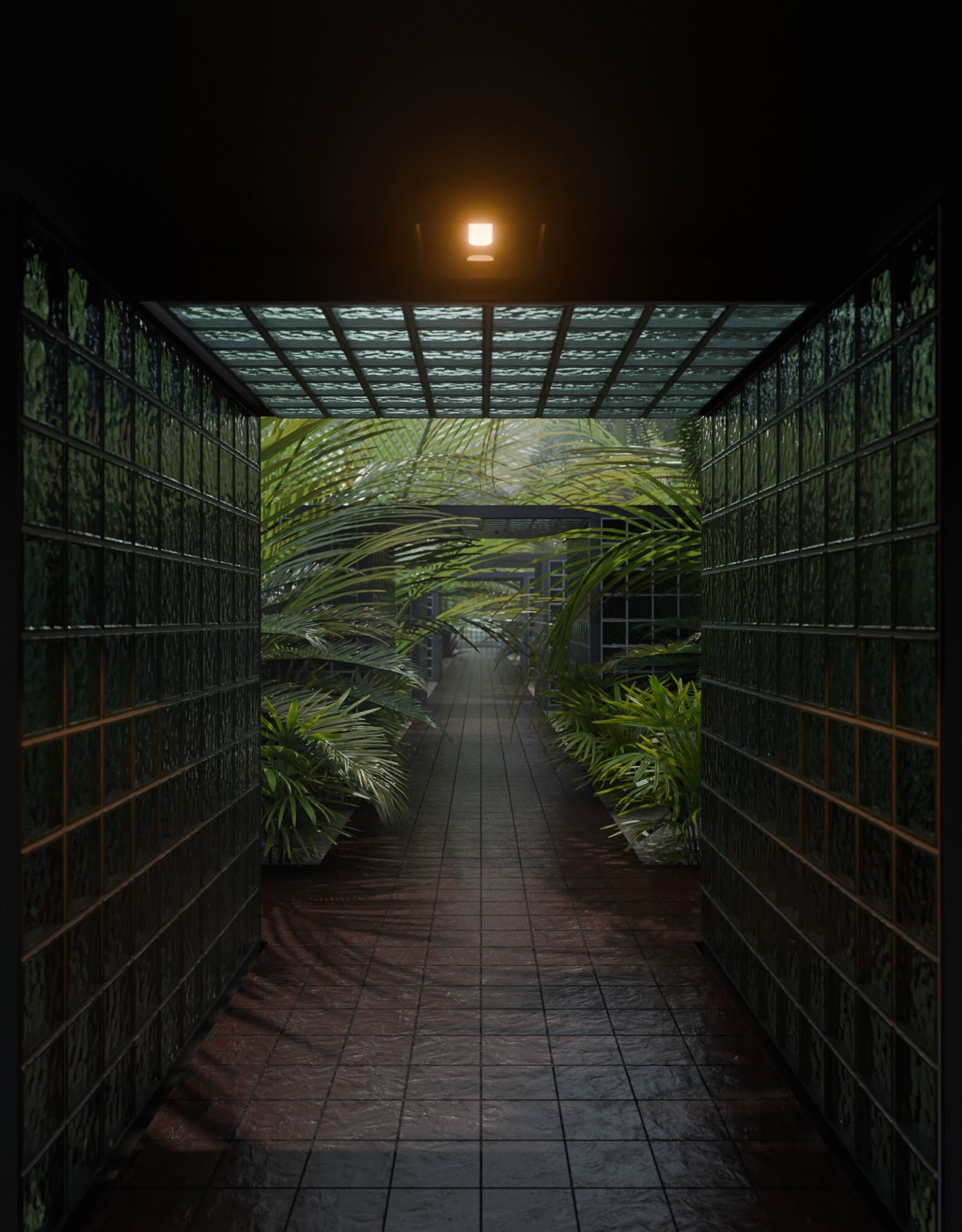 Experiment: Plant and Glass-1