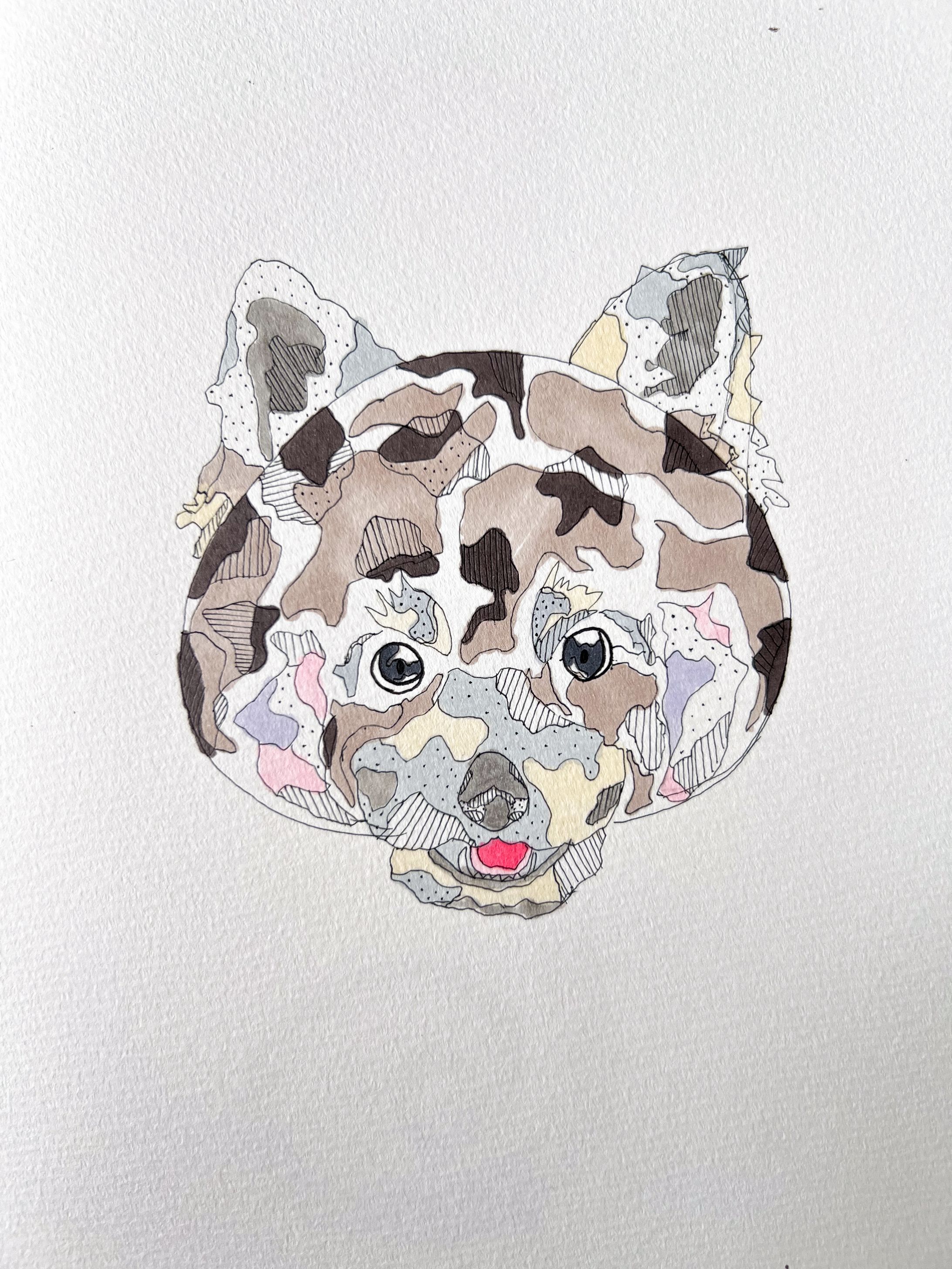 レッサーパンダ-1