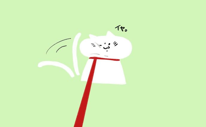 拒む猫