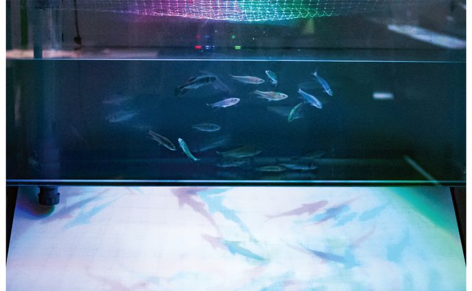 宇宙と地球